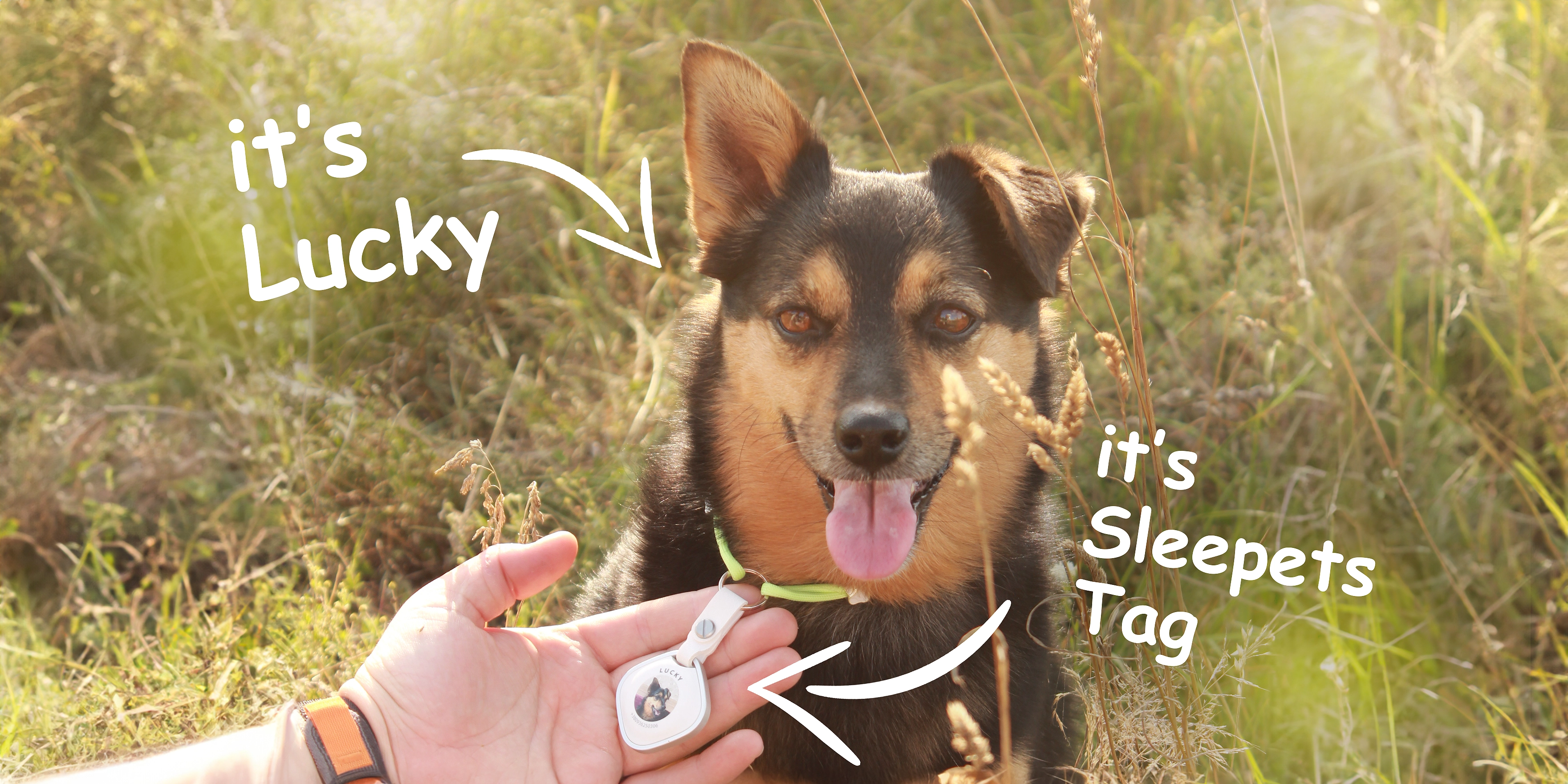Review Sleepets Tag Dog Tracker with Photo and Apple Find My