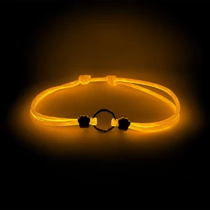 Купить Sleepets Glow-in Dark Separate Collar for Pet Tag Orange L 15-27" (40-70 cm)
