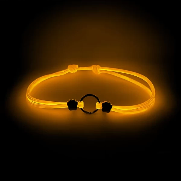 Sleepets Glow-in Dark Separate Collar for Pet Tag Orange S 8-14" (20-35 cm)