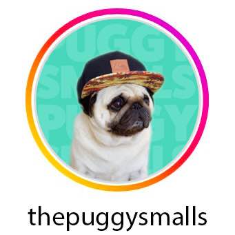 The Puggy