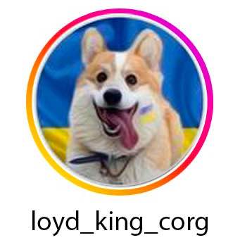 Loyd