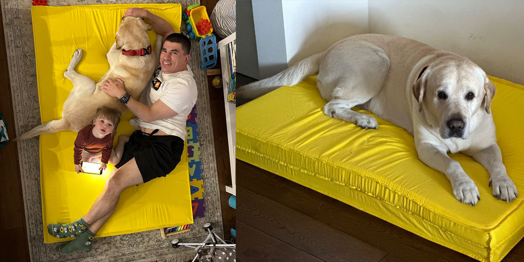 Історія створення бренду Sleepets