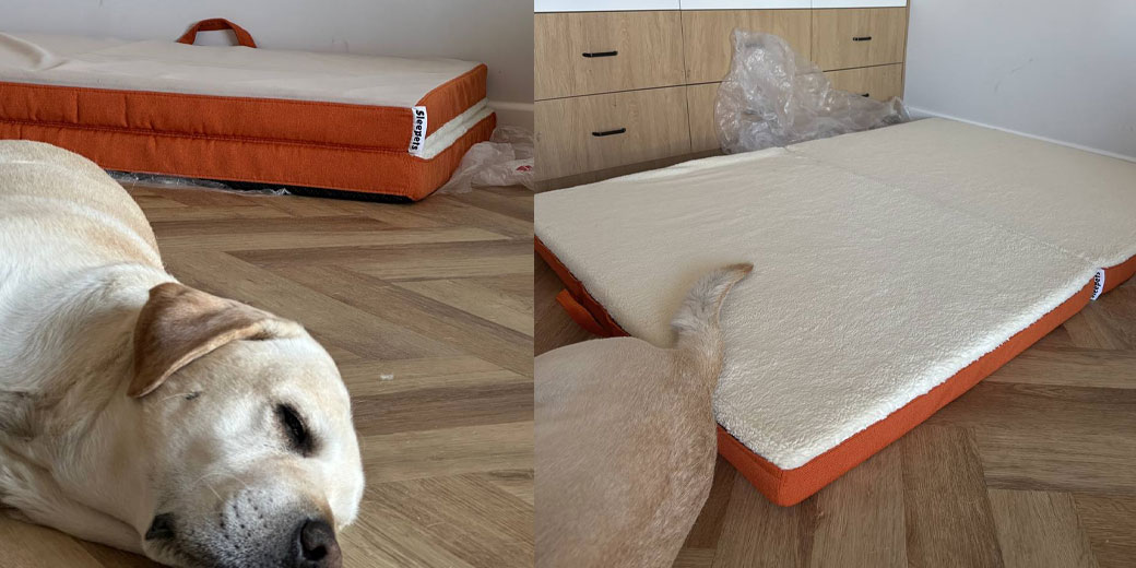 Sleepets &mdash; З любовʼю для тих, у кого хвостик