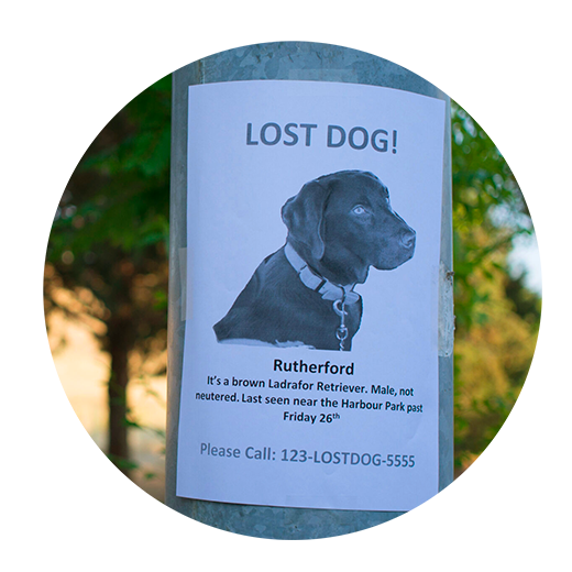 Sleepets Custom Dog Tag Tracker QR Code - Works with Apple Find My