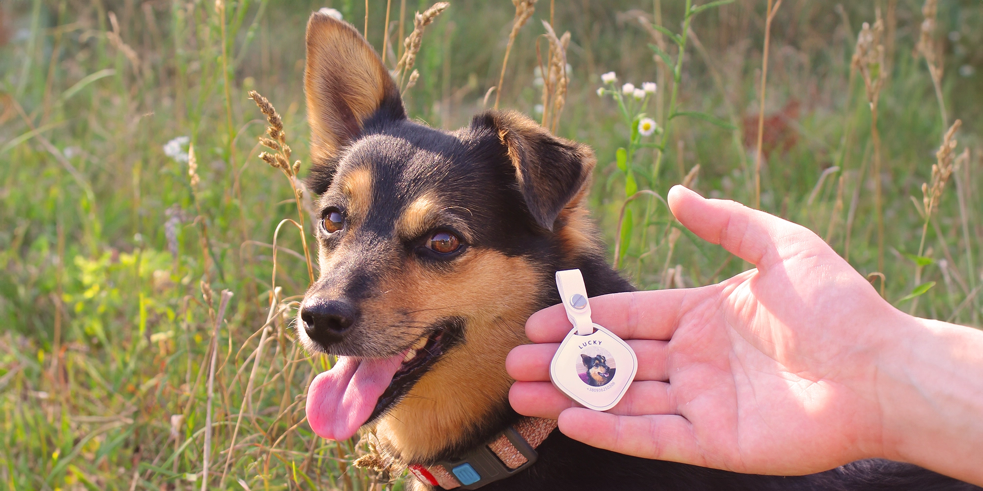 Новинка для ваших Pets &mdash; Огляд трекера для собак Sleepets Tag з підтримкою FindMy