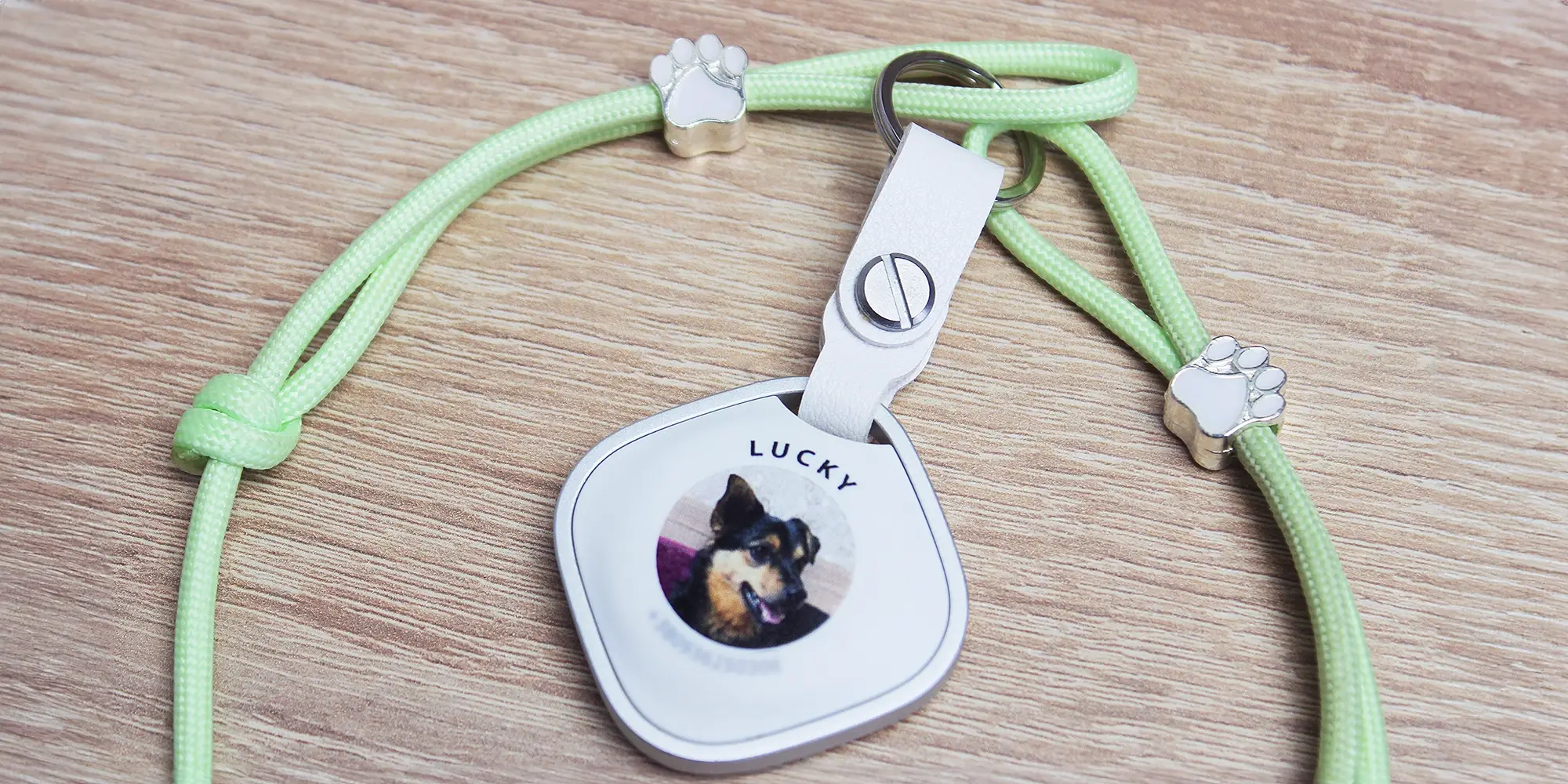 Новинка для ваших Pets &mdash; Огляд трекера для собак Sleepets Tag з підтримкою FindMy