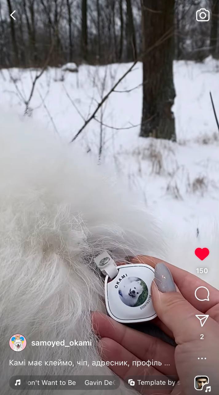 AirPaw 맞춤형 강아지 추적기 QR 코드 &mdash; AirTag 칩 포함 (Apple Find My)